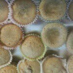 Brooke Rickert+Marissa Tracy - @crazy_bakers - Instagram