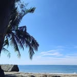 Dona Marissa Saces Root - @assiramsecas - Instagram