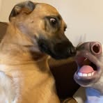 Marissa Rupert - Facebook