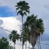 marissasalas580 - @marissasalas580 - TikTok