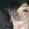 🦈 - @marissaa_sernaa - TikTok