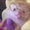 Rissa - @marissaserna6 - TikTok