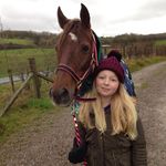 Marissa Sinclair - @poppy_the_beautiful_mare - Instagram