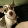 Marissa Stephens - @marissastephens8 - TikTok