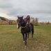 Marissa Stiles - Facebook