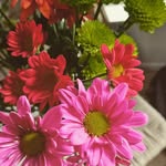 Marissa_Strong - @marissa_4729 - Instagram