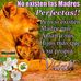 Marisa Weber - Facebook