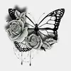 marissawebster - @marissawebster - TikTok
