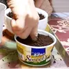 MarissaWeeks - @seichild9dt - TikTok