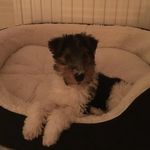 Marissa - @marissa_welsh25 - Instagram
