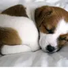 user7050758683627 - @marissa.welsh - TikTok