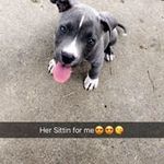 Marissa Williamson - @marissawilliamson458 - Instagram
