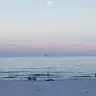 marissa Williamson ( - @marissawilliamson5 - TikTok