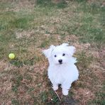 Marit Andreassen - Facebook