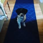 Marit olsen - @marit971 - Instagram