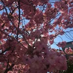 Marit Rasmussen - @tasmuss1 - Instagram