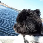 Marit Rasmussen - Facebook