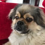Marit Rasmussen - @marit.frikken - Instagram