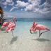 Maritza Schroeder - Facebook