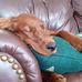 Marit Smith - Facebook