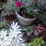 Marites Ballesteros - Facebook