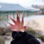 Marites David Herrera - @marites.david - Instagram