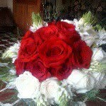 Maritza Abarca - @maritza_abarca21 - Instagram