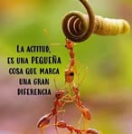 Maritza Agudelo - Facebook