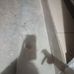 Maritza Jocelyn Arguello - Facebook