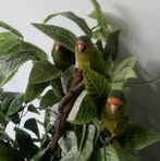 Maritza Benavides - Facebook