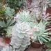 Maritza Caro - Facebook