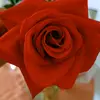 Maritza Caro - @maritza.caro74 - TikTok