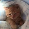 Maritza Corrales - @maritza.corrales13 - TikTok