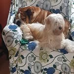 Maritza Estrella Iturriaga Moya - @mitzi_turriaga - Instagram
