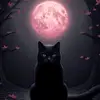 Maritza Guardado 🌺 - @clau.go89 - TikTok