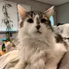 maritzahowson - @maritzahowson - TikTok
