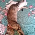 Maritza Lazcano - @maritzalazcano - Instagram
