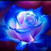 Maritza Nobles - Facebook