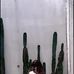 Maritza Olsen - Facebook