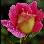 Maritza Ozuna - Facebook