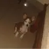 Maritza Payano553 - @vegatta44 - TikTok
