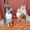 Maritza Pereyra - @mypom_vlog - TikTok
