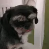 Maritza Prado Arango - @maritzapradoarang - TikTok