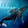 user5060317812583 - @maritzapricefu7sjg - TikTok