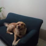 Maritza Prieto López - @maritzaprietolopez - Instagram