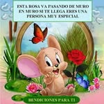 maritza.prieto. - @pmaritza024 - Instagram