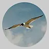 maritzaquiles7 - @maritzaquiles7 - TikTok