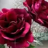 Maritza Rea - @maritza.rea8 - TikTok