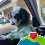 Maritza Padilla Romano - @maritza.romano - Instagram
