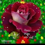 Maritza Torrez - @maritzatorrez450 - Instagram